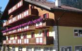 Туры в отель Hotel Fedaia