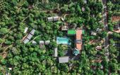 Туры в отель Covanro Sigiriya