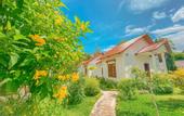 Туры в отель Wings Bungalow