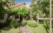 Туры в отель Wings Bungalow