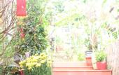 Туры в отель Blue Sky Phu Quoc Hotel