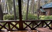 Туры в отель Gelion Park Hotel
