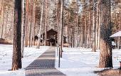 Туры в отель Gelion Park Hotel