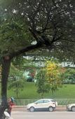 Туры в отель Marina Hotel Hanoi