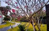 Туры в отель Wings by Croske Resort Langkawi