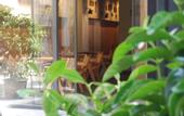Туры в отель Four Sides Beyoglu