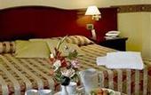 Туры в отель Fenice Palace