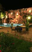 Туры в отель Imperial Holiday Hotel & Spa