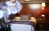 Туры в отель Golden Tulip Andorra Fenix