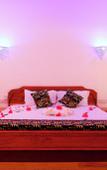 Туры в отель Nungwi Heritage Resort
