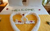 Туры в отель Orchid Self Catering Apartment