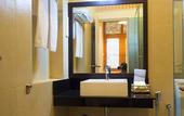 Туры в отель Hotel Sigiriya