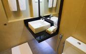 Туры в отель Hotel Sigiriya
