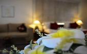 Туры в отель Rockwell Colombo