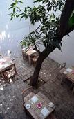 Туры в отель Rockwell Colombo
