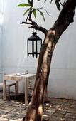 Туры в отель Rockwell Colombo