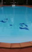 Туры в отель Castaways Resort