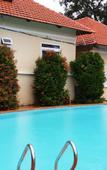 Туры в отель Castaways Resort