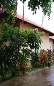 Туры в отель Castaways Resort