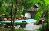 Туры в отель Fern Resort