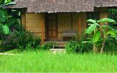 Туры в отель Fern Resort