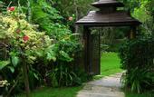 Туры в отель Fern Resort