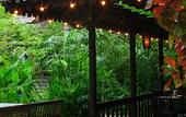 Туры в отель Fern Resort