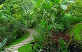Туры в отель Fern Resort