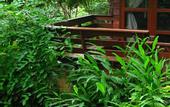 Туры в отель Fern Resort