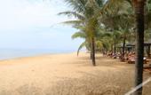 Туры в отель Green Tree Hotel Phu Quoc