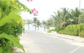 Туры в отель Green Tree Hotel Phu Quoc