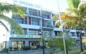 Туры в отель Green Tree Hotel Phu Quoc