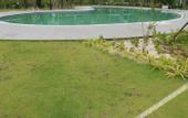 Туры в отель Green Tree Hotel Phu Quoc