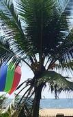 Туры в отель Janishi Residencies