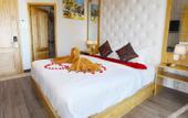 Туры в отель Emerald Ocean Hotel