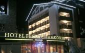 Туры в отель Festa Chamkoria