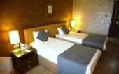 Туры в отель The Green Park Hotel Merter