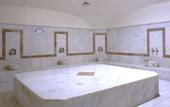 Туры в отель The Green Park Hotel Merter