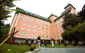 Туры в отель The Green Park Hotel Merter