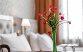 Туры в отель Ornament Hotel