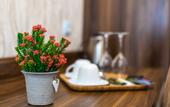Туры в отель Ornament Hotel