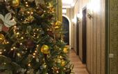 Туры в отель Ornament Hotel