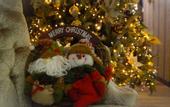 Туры в отель Ornament Hotel