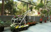 Туры в отель Resort The Lohias