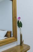 Туры в отель Gecko House