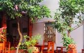 Туры в отель Gia Thanh Guest House