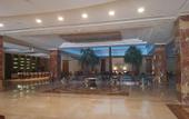 Туры в отель Tolip Gardens Hotel