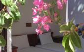 Туры в отель Fevro Hotel