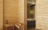 Туры в отель Roseate House