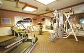 Туры в отель Hotel Vibra Algarb